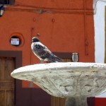 d12-guanajuateday1-36