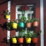 d12-guanajuateday1-4