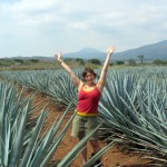 d8-amanda-agave