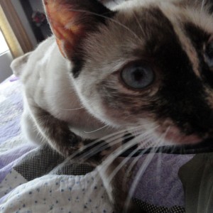 Dorothy le gusta mi camera